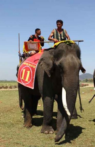 12032015_lehoiduavoi9