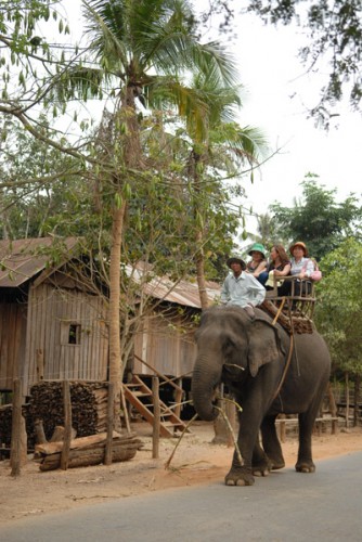 Voi làm du lịch ở Đắk Lắk. (Ảnh: Duy Nguyên)