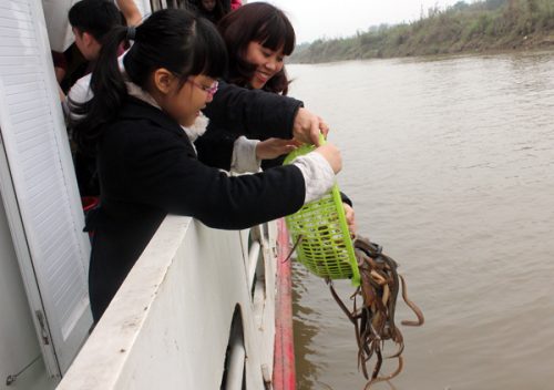 Và niềm vui rạng người trên khuôn mặt những người tự tay thả từng chú cá, con lươn... về với thiên nhiên, môi trường. (Ảnh: Việt Hùng - Nguyễn Cường)