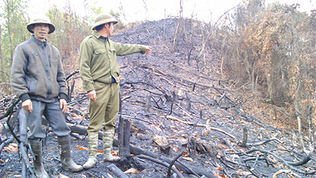 Một khu rừng ở xóm Cầu Đã, xã Tân Lợi, huyện Đồng Hỷ (tỉnh Thái Nguyên) bị đốt phá năm 2014 cần phải trồng thay thế. (Ảnh: Nguyễn Kiểm)
