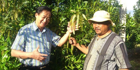 GS. Nguyễn Lân Hùng thăm vườn mắc ca của nông dân Lâm Đồng
