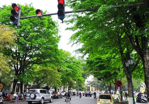 Hàng cây sưa trắng trên đường Phan Chu Trinh... Đọc thêm tại: http://nongnghiep.vn/hien-ke-trong-cay-xanh-do-thi-ha-noi-post140543.html | NongNghiep.vn