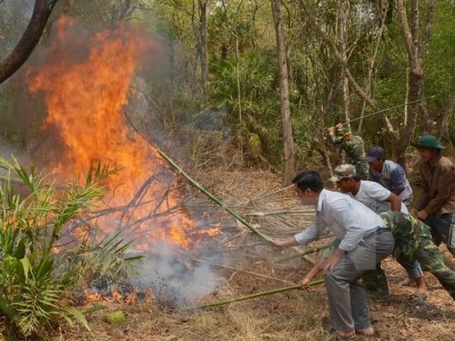 Diễn tập phòng cháy, chữa cháy ở Vườn chim Bạc Liêu. (Ảnh: Thanh Liêm/TTXVN)