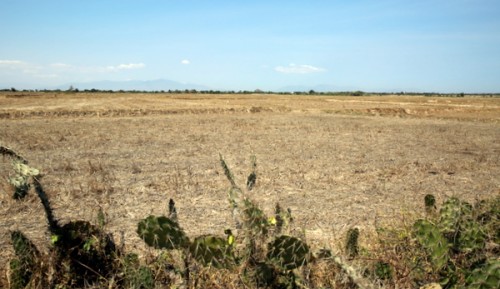 Những cánh đồng khô cạn tại Ninh Thuận. Ảnh: VGP/Nguyên Linh