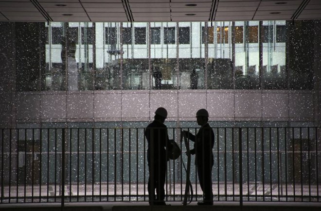 Người dân Tokyo bất ngờ chứng kiến hiện tượng tuyết rơi trái mùa