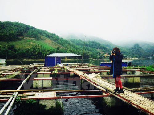 Du khách thăm quan bè cá nuôi của hộ dân làm du lịch homestay trên lòng hồ Sông Đà. (Ảnh: Xuân Mai/Vietnam+)