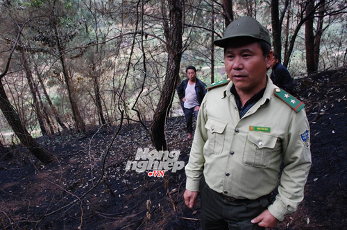 Kiểm lâm địa bàn Đinh Văn Hoa kể lại diễn biến vụ cháy rừng. (Ảnh: nongnghiep.vn)