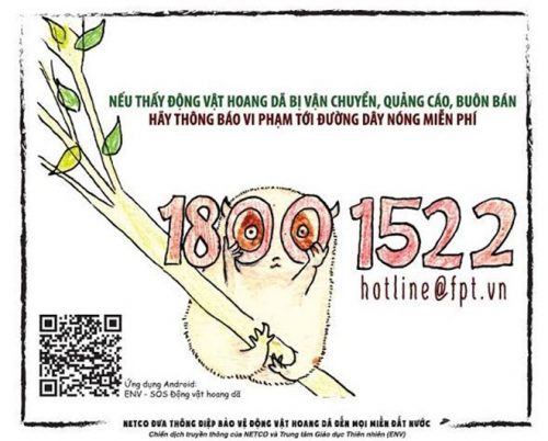 Trong năm 2015, đường dây nóng miễn phí về bảo vệ động vật hoang dã sẽ được lan tỏa tới mọi miền đất nước trên một triệu cánh thư. (Ảnh: ENV)