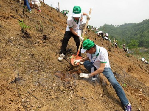 Lãnh đạo HVN tham gia trồng rừng. (Nguồn: Vietnam+)
