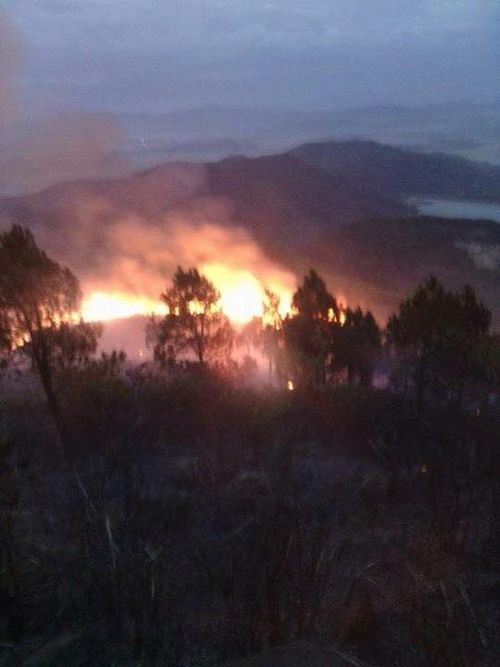 Đám cháy bùng lên dữ dội ở khu vực rừng thông thuộc rú Đông, xã Nam Giang, huyện Nam Đàn (Nghệ An). (Ảnh: nguoiduatin.vn)