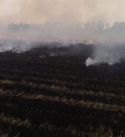 07052015_chanchinhviecdotdong2