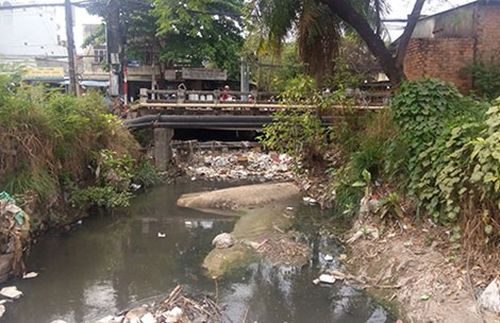 Suối Săn Máu đoạn qua phường Trảng Dài, TP Biên Hòa đang bị ô nhiễm nghiêm trọng. (Ảnh: T.DŨNG)