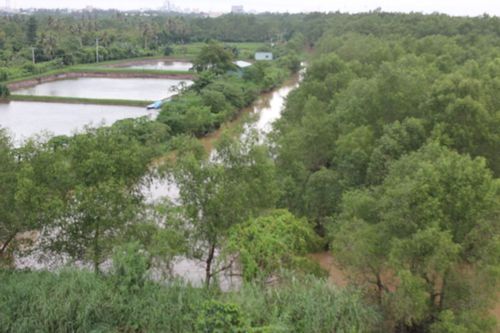 08052015_canthothuhoidat2