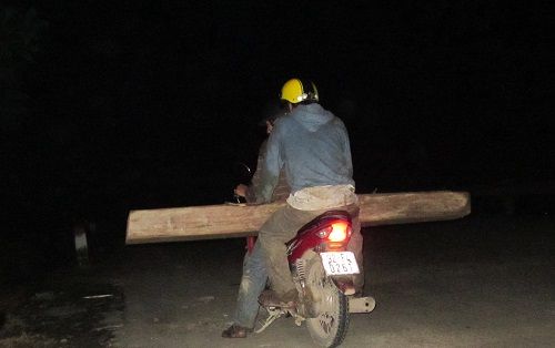 Lâm tặc vận chuyển gỗ trong đêm. (Ảnh: nguoiduatin.vn)