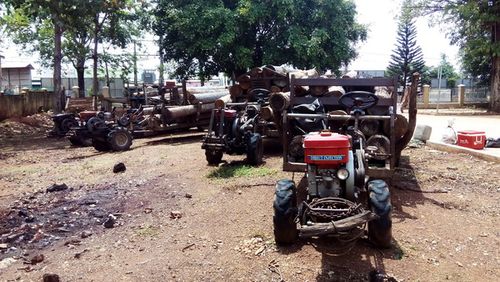 Số gỗ bị tạm giữ tại trụ sở UBND xã Ia Le. (Ảnh: Quế Mai)