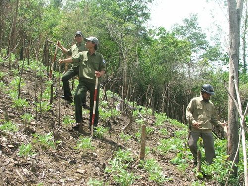Ban quản lý rừng phòng hộ Đồng Xuân tuần tra bảo vệ và PCCCR. (Ảnh: Phương Nam)
