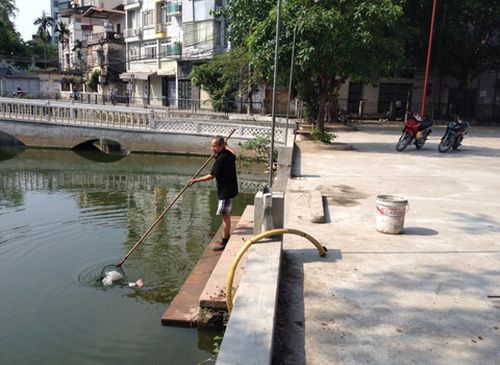 Ngày đều đặn 2 lần ông Tạ cần mẫn vớt rác làm sạch môi trường sông, hồ tại khu vực phường Nhân Chính. Ảnh: Đại Đoàn Kết)