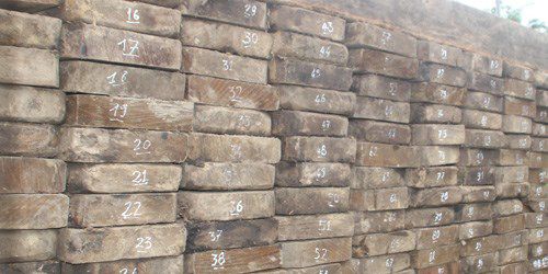 250515_hanhtrinhvachmatkiemlam2