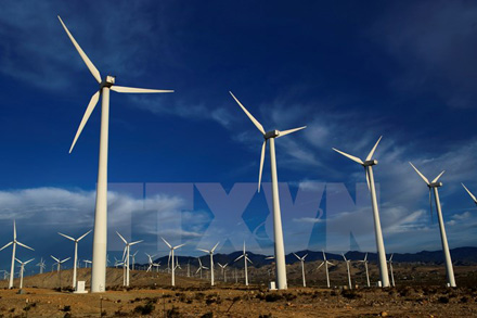 Các tuôcbin gió tại nhà máy phong điện ở Palm Springs, bang California, Mỹ. (Nguồn: THX/TTXVN)