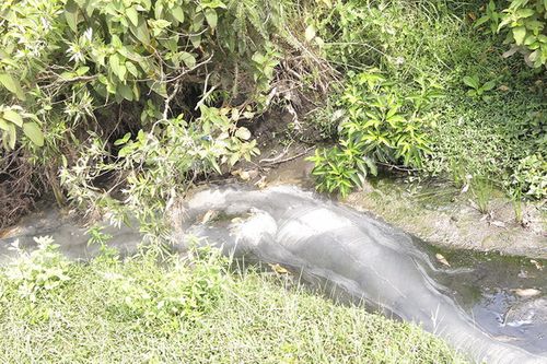 03062015_nhamaybotcagayonhiem3