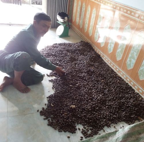 04062015_tandietlocrung