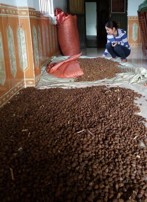 04062015_tandietlocrung2