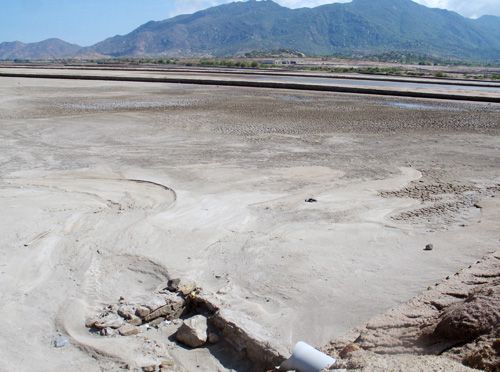 Cánh đồng muối của Công ty cổ phần Muối Cà Ná phải bỏ hoang do người dân ngăn không cho bơm nước biển sản xuất muối. (Ảnh: Báo Tin tức)