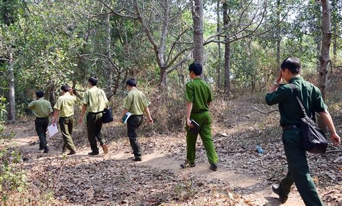 Đoàn liên ngành Ban chỉ đạo về kế hoạch bảo vệ và phát triển rừng tỉnh đang đi kiểm tra khu vực rừng phòng hộ Trị An (xã Gia Tân 1, huyện Thống Nhất). (Ảnh: nongnghiep.vn)