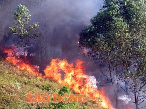 Đám cháy xảy ra tại rú Mồng Gà. (Ảnh: Báo Lao động)