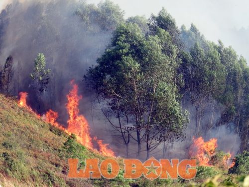 Do thời tiết nắng nóng, tại huyện Hương Sơn thời gian gần đây xảy ra nhiều vụ cháy rừng. (Ảnh: Báo Lao động)