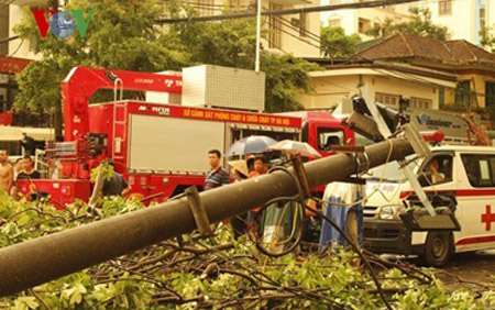Các địa bàn bị ảnh hưởng lớn là Hoàn Kiếm (86 cây đổ), Hai Bà Trưng (207 cây đổ), Đống Đa (96 cây đổ) và Hoàng Mai (trên 300-500 cây đổ).  