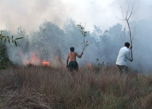 17062015_buonglongphongchongchayrung2
