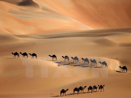 Sa mạc Liwa. (Nguồn: AFP/TTXVN)