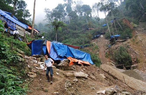 Lều lán của vàng tặc ở bãi vàng thổ phỉ Rừng Vàu. (Ảnh: nongnghiep.vn)