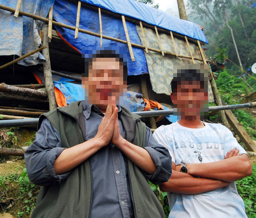 Một cai vàng bên mình luôn có một vệ sĩ. (Ảnh: nongnghiep.vn)