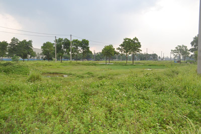 Khu đất dịch vụ ở thôn Gia Thượng, thị trấn Quang Minh, huyện Mê Linh. Ảnh: Thái San