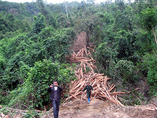 Tỉnh Quảng Nam nhìn nhận việc cho một doanh nghiệp Trung Quốc thuê đất rừng ở các huyện biên giới là nhạy cảm. (Ảnh minh họa: Quang Vinh)