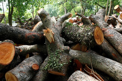 Bãi tập kết có đoạn được chăng dây thừng ngăn không cho người dân đi vào, tuy nhiên nhiều đoạn không được chăng dây bảo vệ.