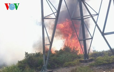 Nhiều vụ cháy rừng xảy ra tại miền Trung do nắng nóng