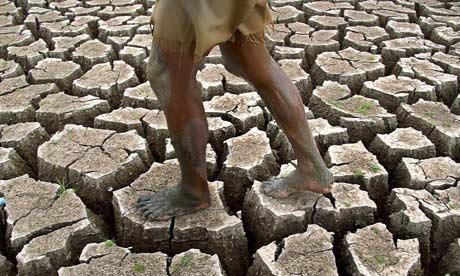 Sự ấm lên của Trái Đất dẫn tới tình trạng khan hiếm nguồn nước và lương thực