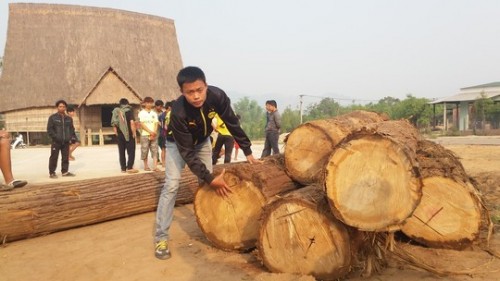 Số gỗ bị người dân làng Kon Sơ Lak bắt giữ
