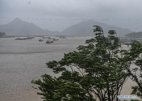 Siêu bão Chan-hom có dấu hiệu giảm nhẹ ở miền Đông Trung Quốc (Ảnh: Tân Hoa)