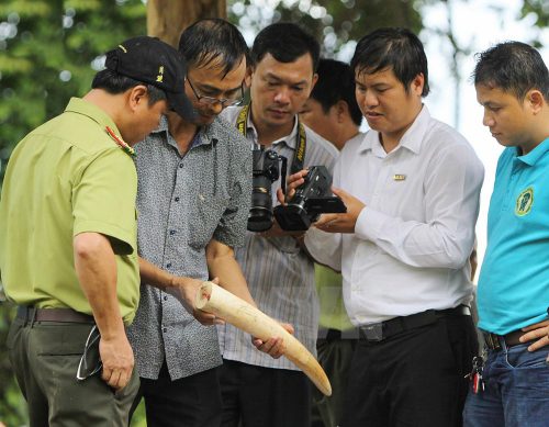 170715_phauthuatnga1