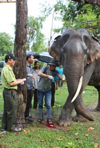 170715_phauthuatnga4