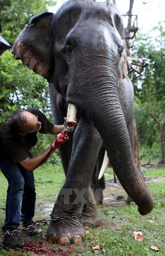 170715_phauthuatnga5