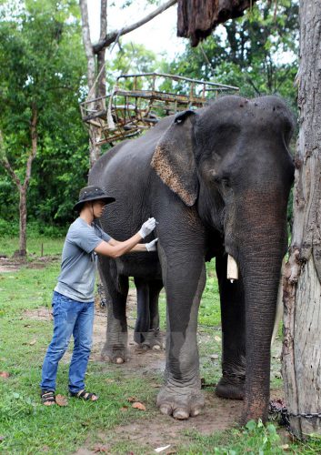 170715_phauthuatnga6