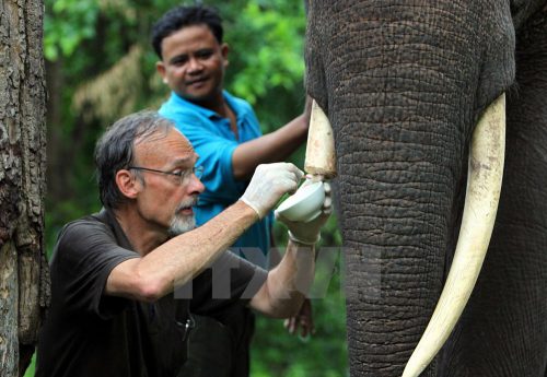 170715_phauthuatnga7