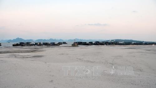 Hàng chục con tàu tập trung phun cát vào bãi tắm Marina, phường Hùng Thắng, TP. Hạ Long (Ảnh: Nguyễn Hoàng/ TTXVN)