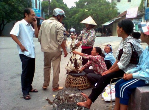 Cảnh mua bán chim trời tại thị trấn Quế, huyện Kim Bảng