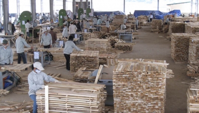 Công ty CP Sahabak được giao thêm 2 ha đất tại Khu Công nghiệp Thanh Bình để mở rộng nhà máy chế biến gỗ.